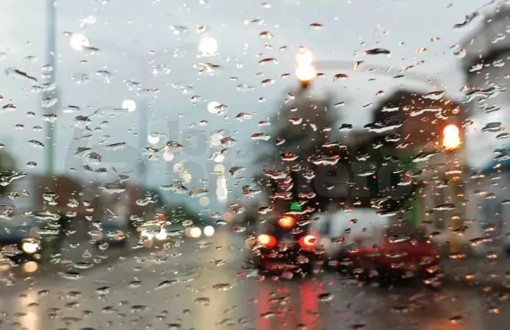 Las lluvias de la madrugada provacaron caída de árboles y el tendido eléctrico