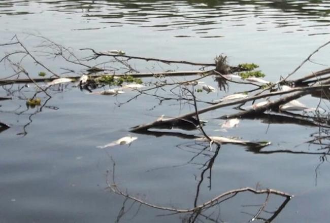 El gobierno multó a dos ingenios por contaminación ambiental con $ 24 millones