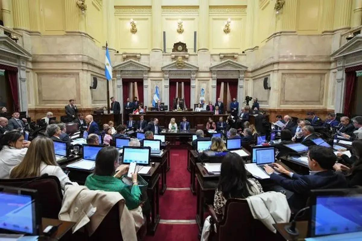 El Senado aprobó la ley de financiamiento universitario