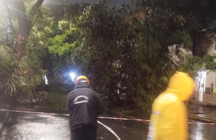 Descendió la temperatura, lluvias y fuertes ráfagas de vientos en la madrugada