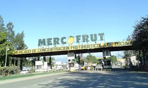 Encuentran a una joven degollada cerca del Mercofrut: investigan femicidio y su pareja está detenida