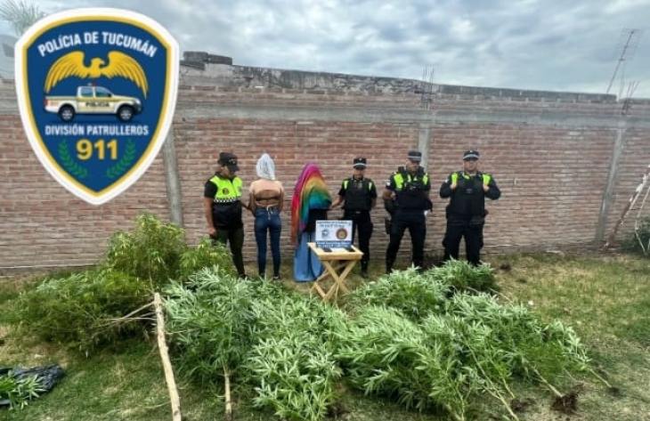 Acudieron a una vivienda por un conflicto familiar y hallaron 40 plantas de marihuana