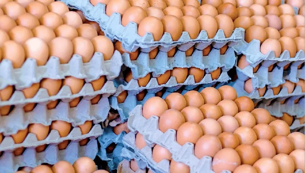 Tucumán lidera el consumo de huevos y crece la demanda en la provincia